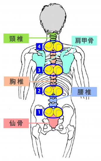 渡辺式　ピーナツ型テニスボールで血圧低下健康法